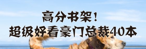 高分書架！超級好看豪門總裁40本